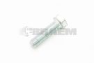 DIN931M14X60