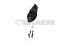 KNOK002561