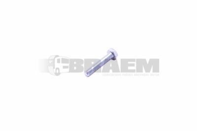 قطع غيار الشاحنات والحافلات - البراغي والفواصل والجوز - 06.01019.0104