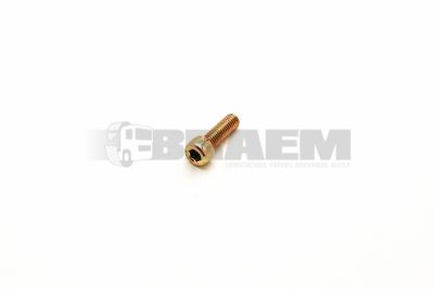 قطع غيار الشاحنات والحافلات - البراغي والفواصل والجوز - 06.02094.4409
