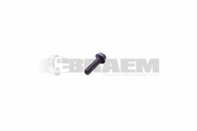 قطع غيار الشاحنات والحافلات - البراغي والفواصل والجوز - 06.02202.0507.OCC