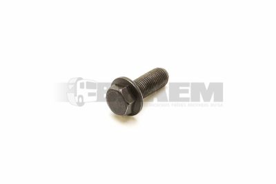 Vrachtwagen- en busonderdelen - Chassis - Chassisbalken - Chassisbouten en moeren - 06.02202.0605