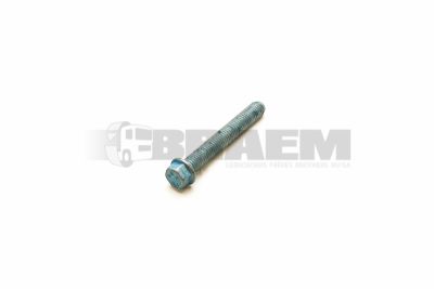 Lkw- und Busersatzteile - Fahrgestell - Chassis Balken - Chassis Boltzen und Mutter - 06.02202.4212