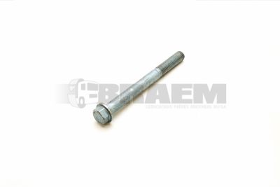Lkw- und Busersatzteile - Fahrgestell - Chassis Balken - Chassis Boltzen und Mutter - 06.02202.4937