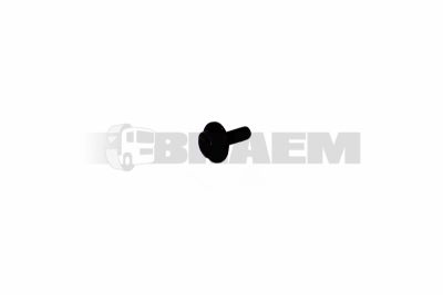 Lkw- und Busersatzteile - Befestigungsmaterial divers - 06.02254.2206
