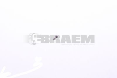 Lkw- und Busersatzteile - Befestigungsmaterial divers - 06.02259.0010