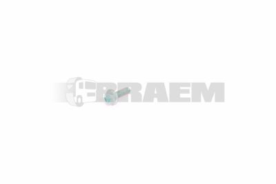 قطع غيار الشاحنات والحافلات - البراغي والفواصل والجوز - 06.02813.4208