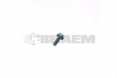 Lkw- und Busersatzteile - Befestigungsmaterial divers - 06.02813.4309