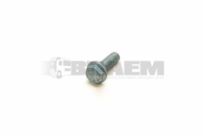 Lkw- und Busersatzteile - Befestigungsmaterial divers - 06.02813.4411