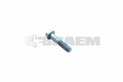 Lkw- und Busersatzteile - Fahrgestell - Chassis Balken - Chassis Boltzen und Mutter - 06.02813.4918