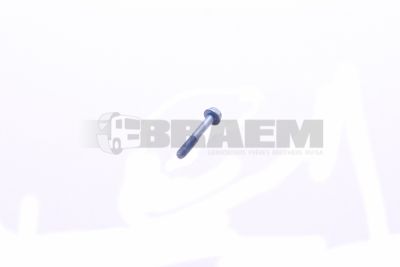 Lkw- und Busersatzteile - Befestigungsmaterial divers - 06.03216.8311