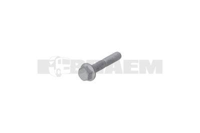 Lkw- und Busersatzteile - Befestigungsmaterial divers - 06.03219.0063