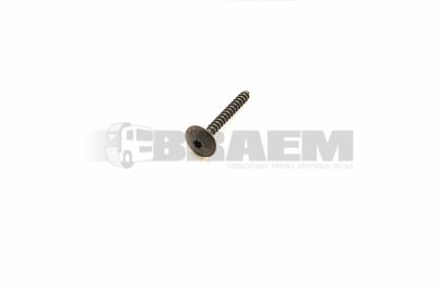 Lkw- und Busersatzteile - Befestigungsmaterial divers - 06.07219.0063