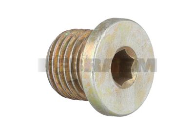 قطع غيار الشاحنات والحافلات - Plug - 06.08042.0603