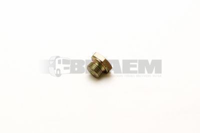 Lkw- und Busersatzteile - Motor - Ersatzteile Einspritzpumpe - 06.08099.0026