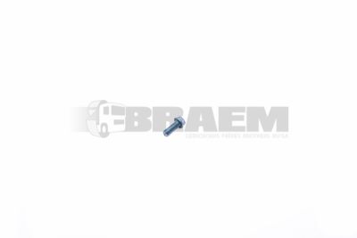 قطع غيار الشاحنات والحافلات - البراغي والفواصل والجوز - 06.11064.2162