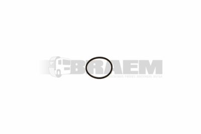 قطع غيار الشاحنات والحافلات - نظام التوجيه - صندوق التوجيه  - مضخة المروحة - 06.56930.2107