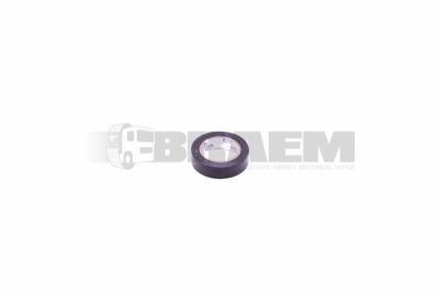 Truck spare parts - Engine - Engine lubrication - Oil pump - 06.56930.3809