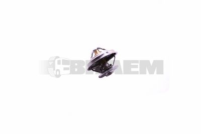 Repuestos camiones - Motor - Refrigeracion del motor  - Bomba de agua  - 51.06402.0099