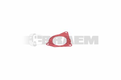 Piese pentru camioane și autobuze - Motor - Garnituri - Accesorii - 51.09905.0095