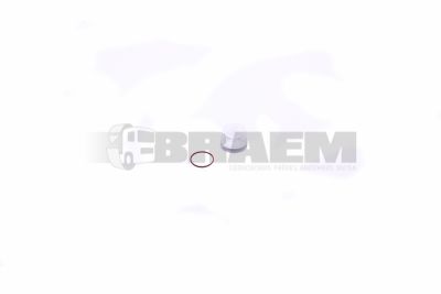 Lkw- und Busersatzteile - Motor - Inspritzeinlage und Turbo - Kraftstofffilter - 51.12502.0014