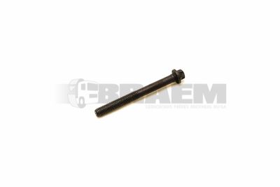 Repuestos camiones - Motor - Motor de bloque - Culata  - 51.90020.0381