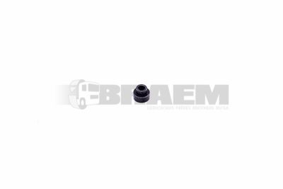 Piese de schimb pentru camion - Motor - Răcirea motorului - Accesorii - 51.91701.0892