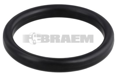 Repuestos camiones y autobuses - Motor - Lubricacion del motor  - Accesorios - 51.96501.0672