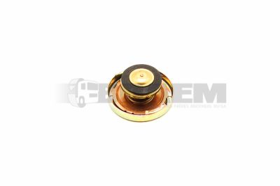 Truck and bus spare parts - Cooling system - Radiator - Coolant expansion tank - 81.06111.0016