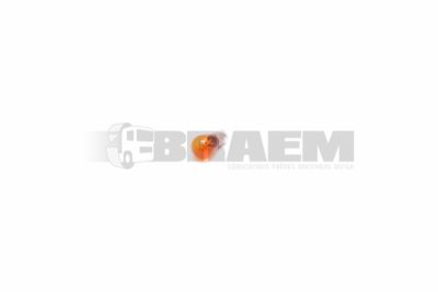 قطع غيار الشاحنات والحافلات - الكهربائيات - الانارة (المصابيح) - المستلزمات (الاكسسوارات ) - 81.25901.0102