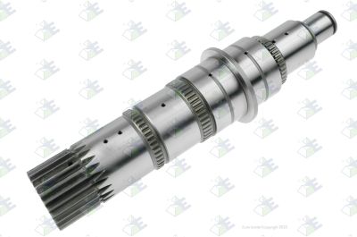 Truck and bus spare parts - Gearbox - Gearbox and transfer case - Gearbox shafts and gears - 81.32202.0074