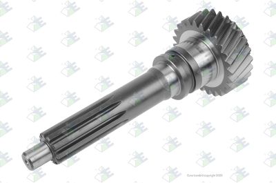 Truck and bus spare parts - Gearbox - Gearbox and transfer case - Gearbox shafts and gears - 81.32205.0196