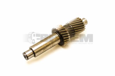 Truck and bus spare parts - Gearbox - Gearbox and transfer case - Gearbox shafts and gears - 81.32206.0106