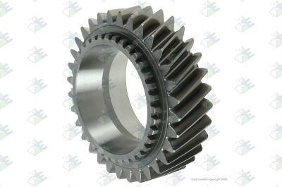 Truck and bus spare parts - Gearbox - Gearbox and transfer case - Gearbox shafts and gears - 81.32302.0249