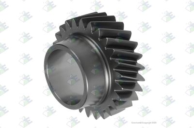 Truck and bus spare parts - Gearbox - Gearbox and transfer case - Gearbox shafts and gears - 81.32302.0256