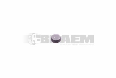 Truck spare parts - Powertrain - Front axle - Repair kit steering knuckel - 81.36304.0010