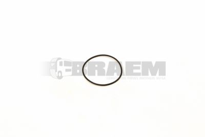 قطع غيار الشاحنات والحافلات - نظام التوجيه - صندوق التوجيه  - مضخة المروحة - 81.96503.0105