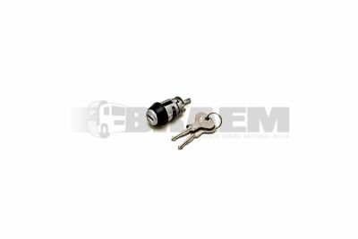Repuestos camiones y autobuses - Cabina - Carroceria cabina  - Puerta y puerta extensión  - 81.97100.6081