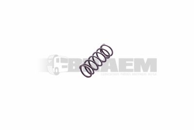 Truck and bus spare parts - bearing, rubber block, seal, feather - Feather - 81.97602.0893.OCC