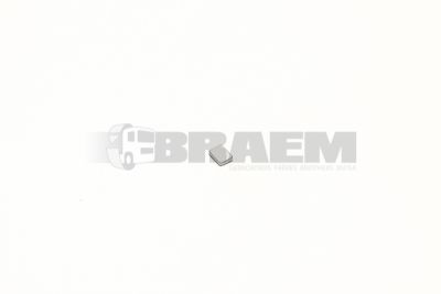 Truck and bus spare parts - Cab - Cabin bodywork - Nomenclature - 81.97878.0125