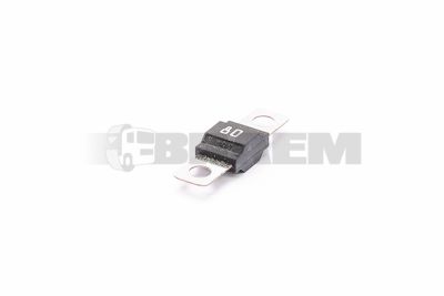Części zamienne do ciężarówek - Elektronika - Centralna tablica rozdzielcza - Bezpiecznik - BH038.041