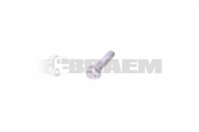 Repuestos camiones y autobuses - Pernos, tuercas y arandelas - BPW02.5070.95.00