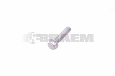 Repuestos camiones y autobuses - Pernos, tuercas y arandelas - BPW02.5070.96.00