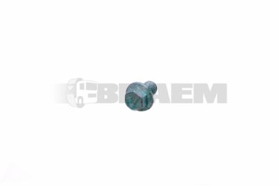 Repuestos camiones y autobuses - Pernos, tuercas y arandelas - BPW02.5071.55.80