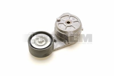 Piese de schimb pentru camion - Motor - Răcirea motorului - Tensor curea - DAYAPV1097