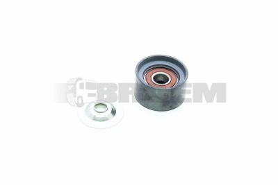 Piese de schimb pentru camion - Motor - Răcirea motorului - Tensor curea - DAYAPV1152
