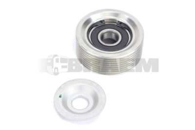 Piese de schimb pentru camion - Motor - Răcirea motorului - Tensor curea - DAYAPV2392