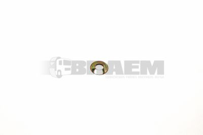 Truck spare parts - Powertrain - Differential - Accessories - DIF1604