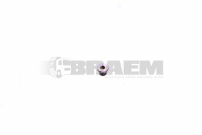 قطع غيار الشاحنات - Cap - DIN1.080.0006