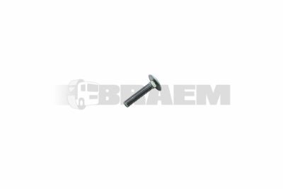 قطع غيار الشاحنات والحافلات - البراغي والفواصل والجوز - DIN603M6X30 A2